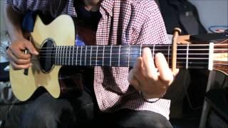 Impending Death of the Virgin Spirit-Will Ackerman (cover)