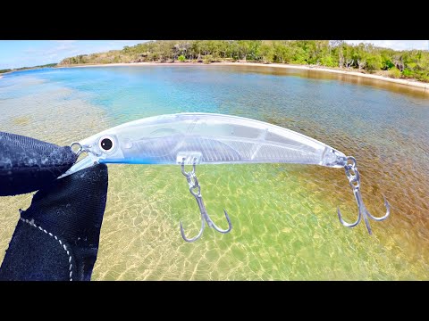 Fishing the Color Change