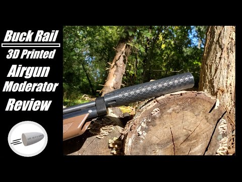 Buck Rail Airgun Moderator Review - w/ Crosman 1377  .177   --    Is this BUDGET MODERATOR worth it?