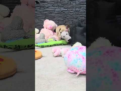Video 4