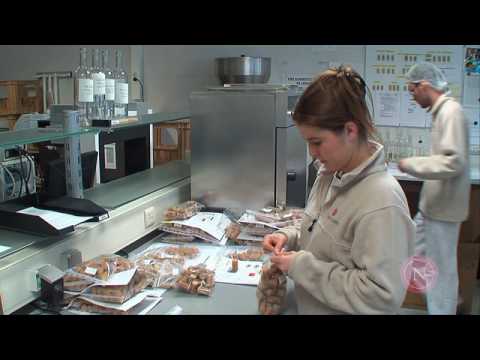 The Symbol of Assurance - Mandarin