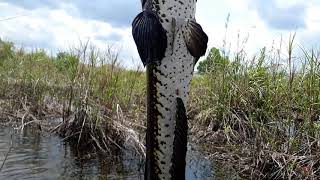 preview picture of video 'Angler Borneo Community'