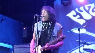 The Fuzztones - In Heat.