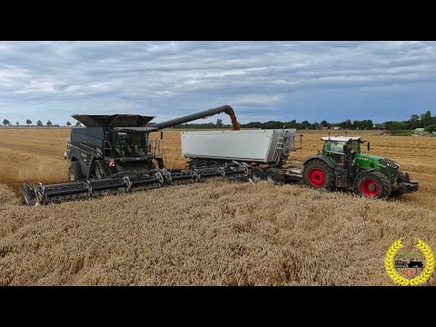 Fendt Ideal 9T mit MacDon FD2 FlexDraper | Fendt 936, 930 Vario | Krampe | Weizenernte