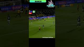 Gol do Novorizontino - Bianchi (Novorizontino 1x1 Palmeiras) Paulistão 08/03/2026