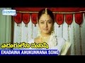 Eduruleni Manishi Video Songs Enadaina Anukunnana Song Nagarjuna Soundarya Shemaroo Telugu