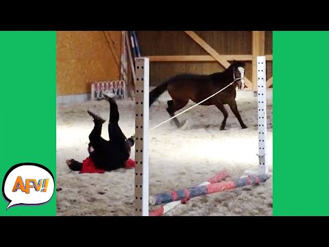 The Horse DRAGGED Her FAIL First! 😂 | Funny Farm Fails | AFV 2021