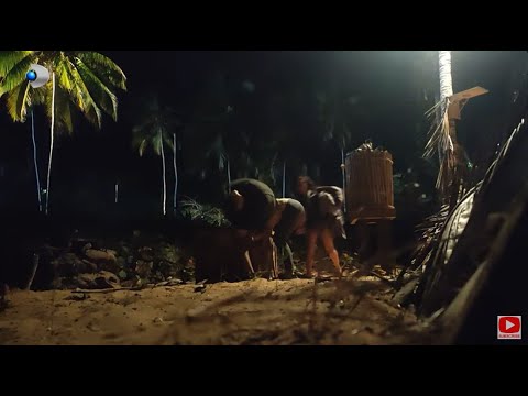 Insula de 1 milion - NORDICII S-AU BATUT PE MANCARE! Sorin: ,,Sta cu sanii si cu fundul pe afara.."