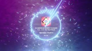 DJ Amato & Dropic Thunder feat. C.O. Tha! Bad Black - Wanna Party (Visualized Video)