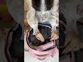 This Female Travel Backpack Is Insane Travelhack Travel Vacations Traveler