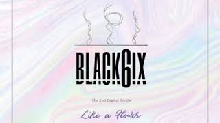 02. Like A Flower (Instrumental) [블랙식스 (BLACK6IX) – Like A Flower] mp3 audio