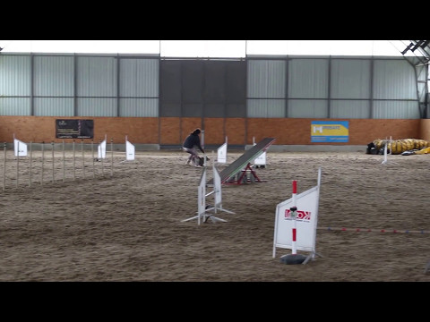 Dragon Lady Alkyra,Sviadnov 19.3.2017,MA2 V1