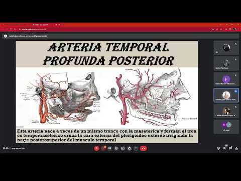 ANATOMIA 1