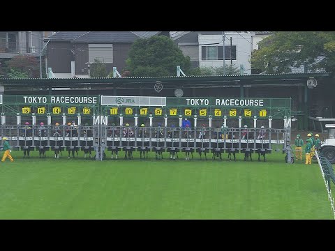 2021 Tenno Sho-Autumn (G1) | JRA Official