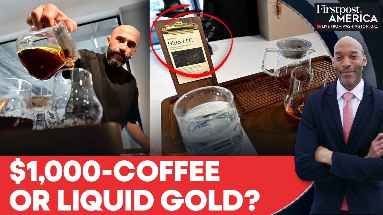 Dubai Unveils the World’s Most Expensive Panama Geisha Coffee at $1,000 a Cup | Firstpost America  
