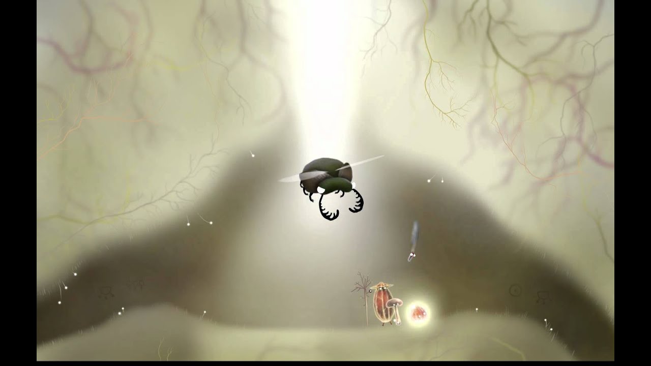 Botaniculavideo poster