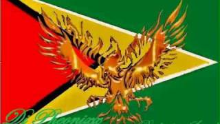 DJ pheonixx - be mine tonight