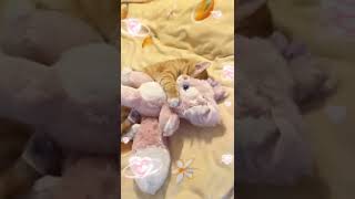 Download lagu Cute Cat #cutecat #cutecatshort #cuteanimals #kucing #kucinglucu #kucingimut mp3 Download lagu Cute Cat #cutecat #cutecatshort #cuteanimals #kucing #kucinglucu #kucingimut mp3