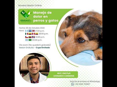 MANEJO DEL DOLOR EN CANINOS