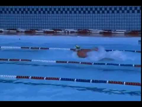 II Concurso Petiz a Sênior - 50 borboleta Thayana Santos