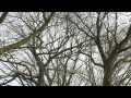 Gelderse koppen 29 maart 2014