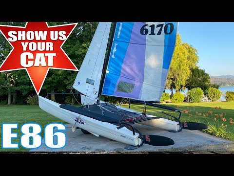 Show us your cat Episode 86 Chile, Switzerland and Australia