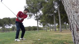 Alejandro Canizares LLorca. Recovery between trees.