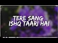 Tere Sang Ishq Taari Hai Pee Loon Slowed Reverb Lofi Bass Boosted Mohit Chauhan
