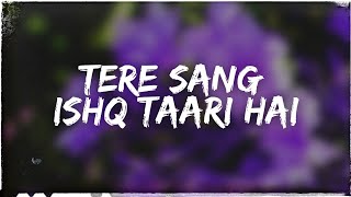 Tere Sang Ishq Taari Hai (Pee Loon)(Slowed +Reverb