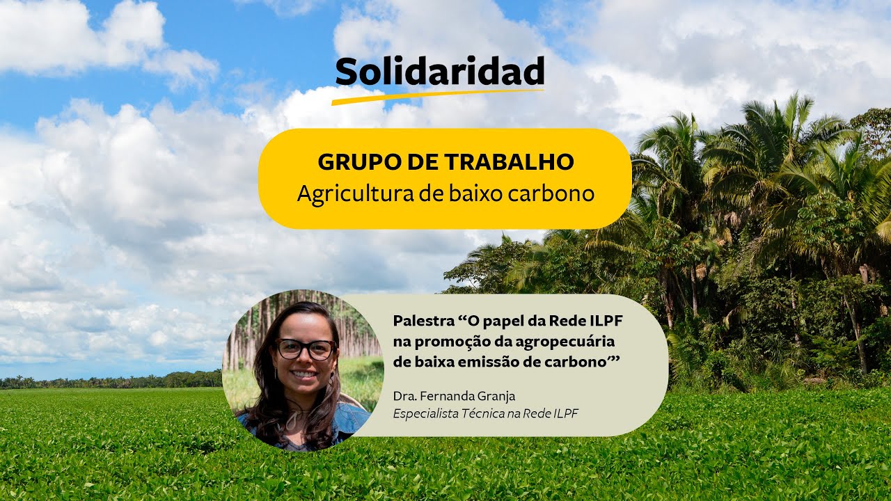 6ª Reunião GT   O papel da Rede ILPF na promoção da agropecuária de baixa emissão de carbono 2023 09