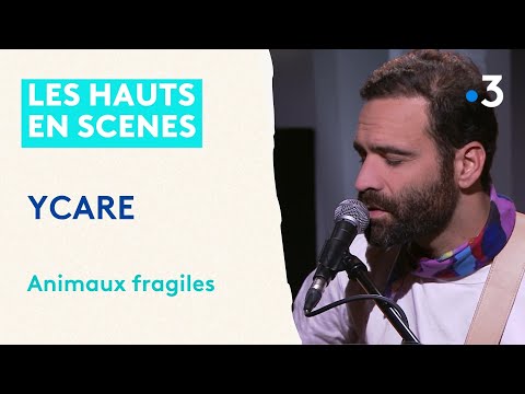 LIVE : YCARE, qui a écrit l'hymne des Enfoirés "Jusqu'au dernier", chante "Animaux fragiles"