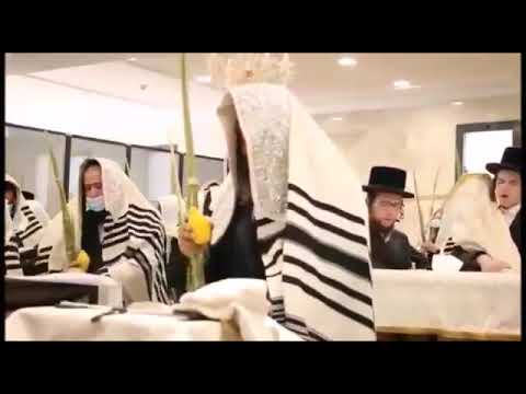 Pittsburgher Rebbe Hoshanos