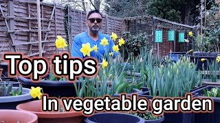 Top Tips In Vegetable Garden - How To Prepare And Improve Your Soil