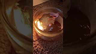 Infinite Rising❤️ Letter To Myself✨ Burn It🔥 Release It🍃👋🏾 #idontownthecopyrightstothismusic