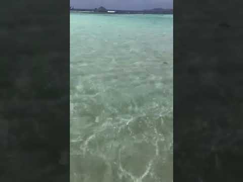 Mopion Island the Grenadines..thanks leisha