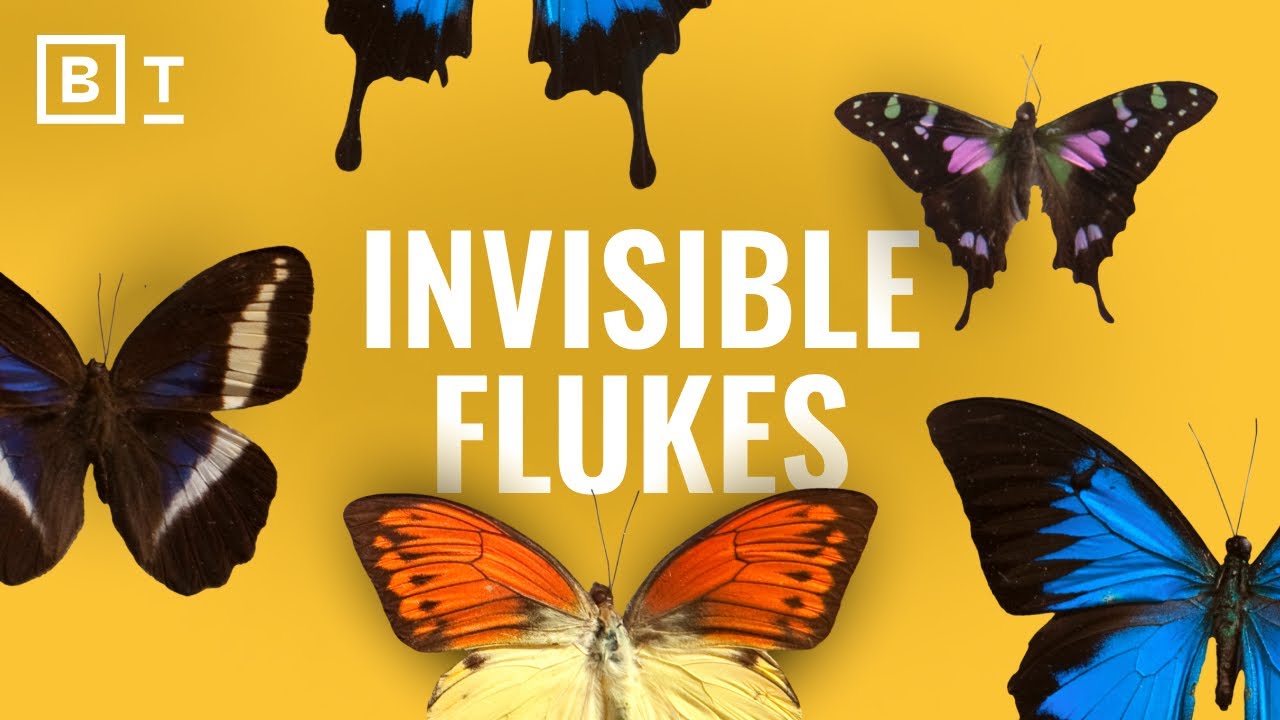 Everything does NOT happen for a reason | Brian Klaas