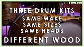 Video thumbnail for Does Shell Material Make a Big Sound Difference? - A Drum Dog Sound Comparison by DRUM.DOG