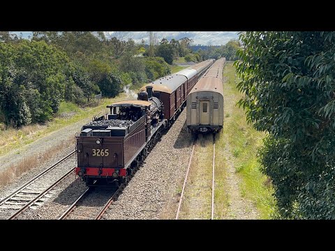 4490, 4501, 4916 and 3265 passing Matthews Lane, Picton | Australian Locomotives