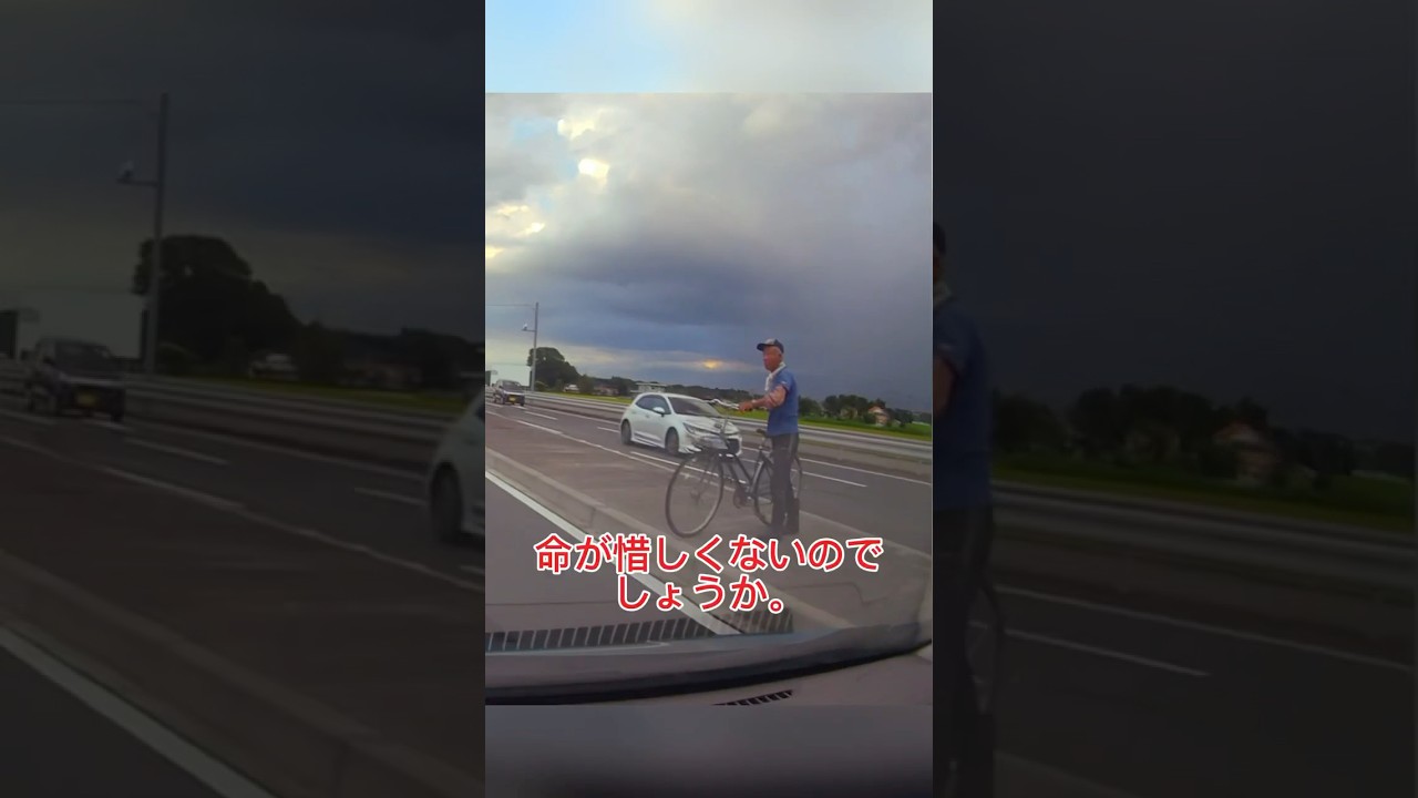 これはあまりに無謀な横断。運転手からしたら恐怖でしかない。 #おすすめ #交通安全 #警察 #無限ドライブスルー