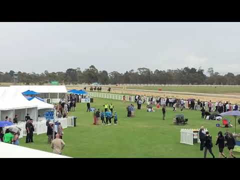 Regal Bloodstock - Rocket Empire Race 1 - Bairnsdale