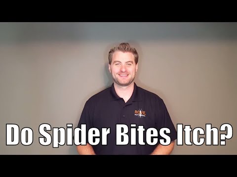 Do Spider Bites Itch?