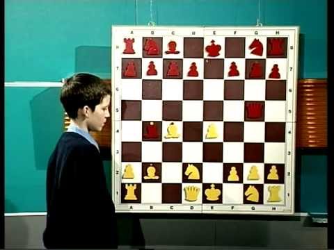 dezvoltarea șahului combinat de vedere