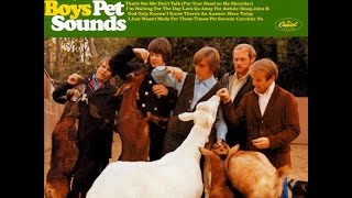 The Beach Boys - Wonderful / Look / The Child is the Father of the Man (cover)