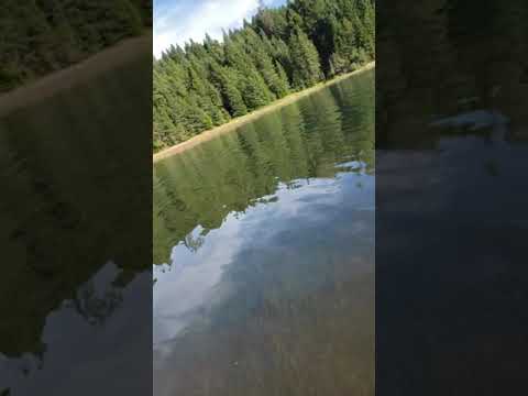 Merica…..f**k yeah