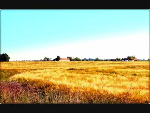 Szatmári verbunkos, csárdás és ugrós