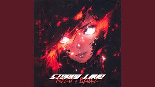 Download lagu STEREO LOVE FUNK (ULTRA SLOWED) mp3
