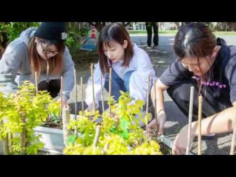 沖縄キリスト教短期大学 保育科授業紹介『飼育栽培』