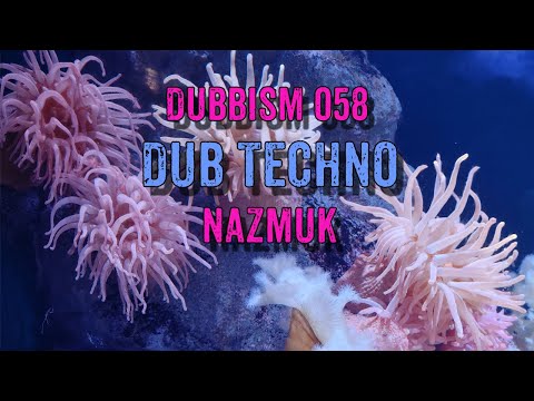 Dub Techno Session 2022 | DUBBISM 058 - NAZMUK