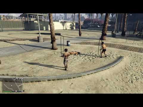 Wolff vs Muscle Girls