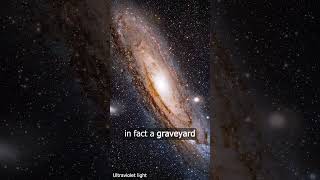 Galaxy $600 Telescope 🔭🌟👽 #Andromeda #Astronomy #space #Physics #Blackhole #science #stars
